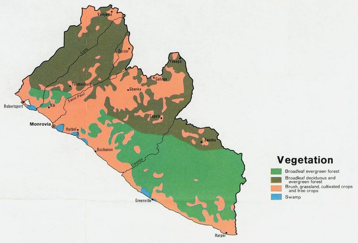 地図の植生図のリベリア