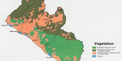 地図の植生図のリベリア